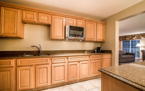 microwave with sink and counter in suite kitchen