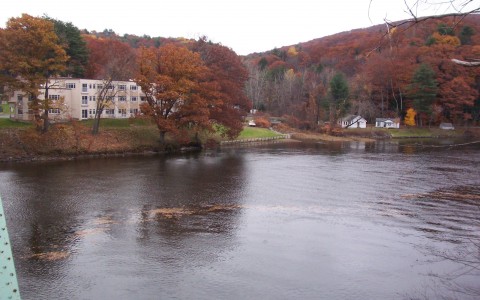 view of river and trees with orange and red leaves