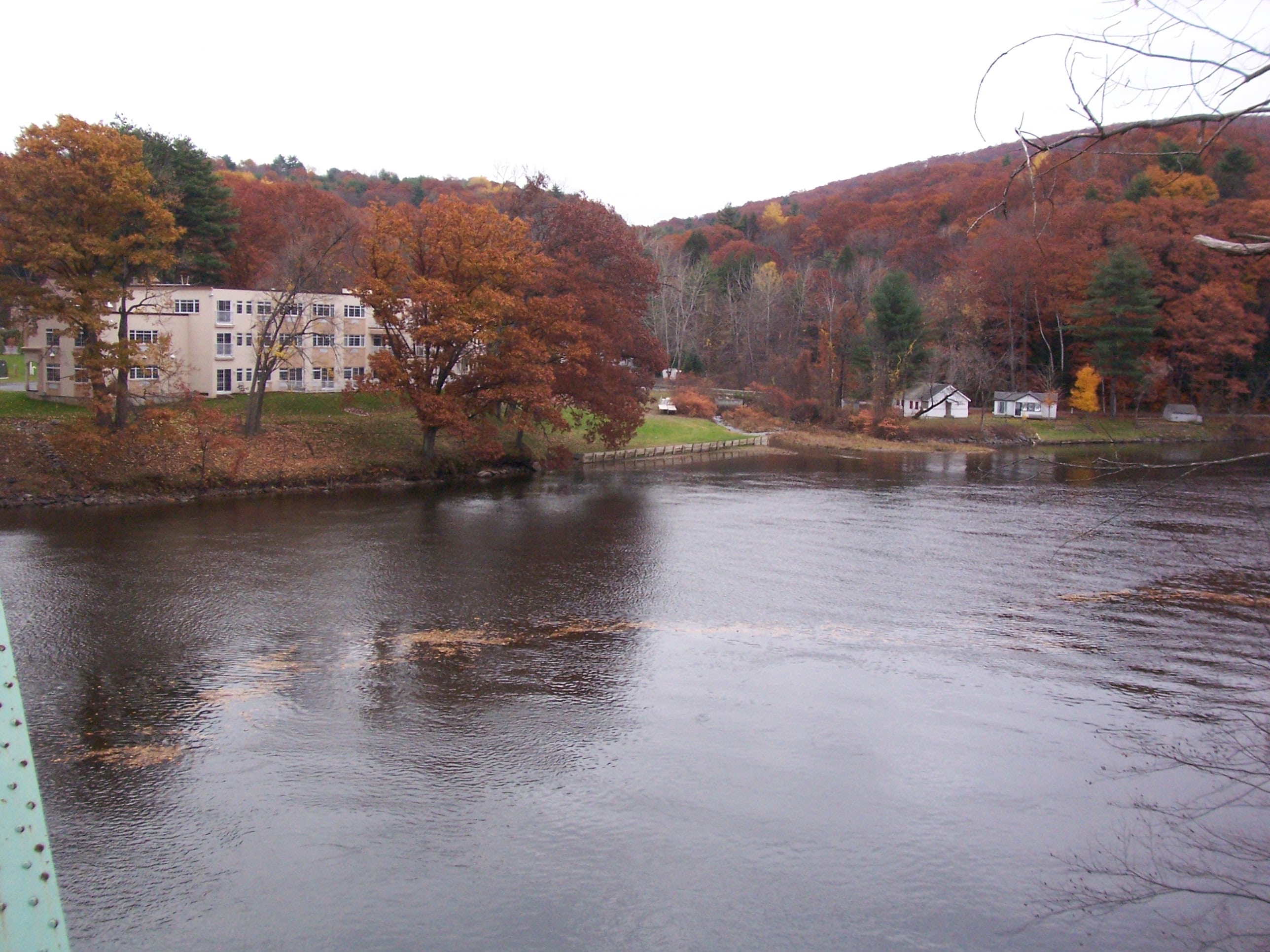 view of river and trees with orange and red leaves