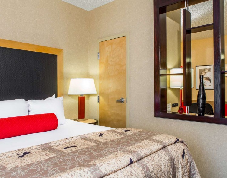 1 King Bed, Executive Suite