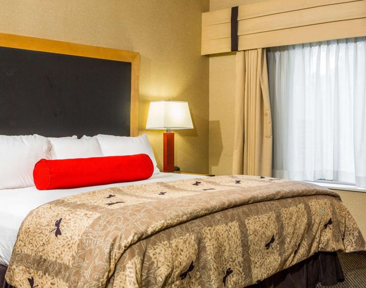 1 King Bedroom Suite