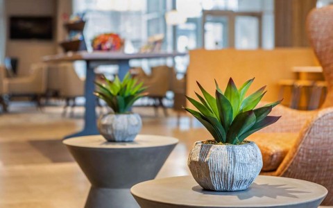 hotel lobby decor of plants in modern vases