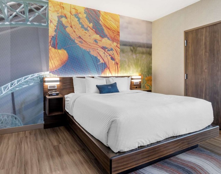 1 Bedroom King Suite