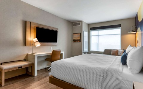 Guest room with king bed(s)