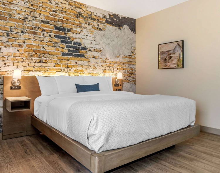 1 King Bed