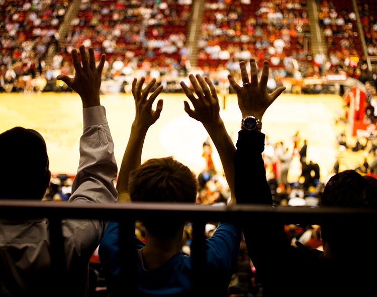 sports fans with hands up in arena