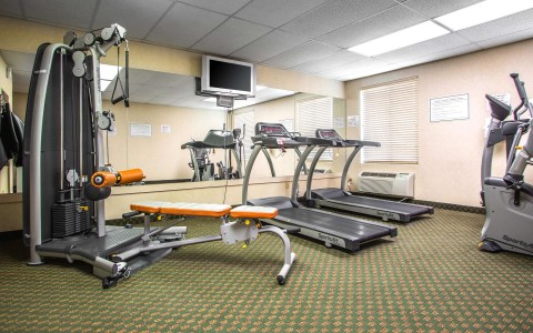 Fitness center with cardio and weight equipment