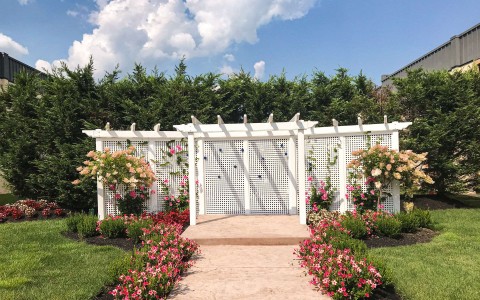 white pergola outside with pink flowers