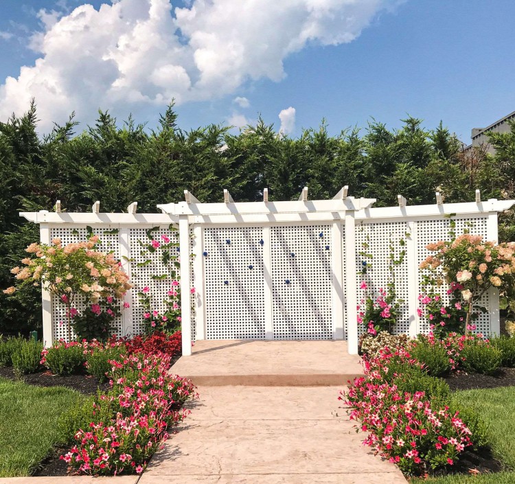 white pergola outside with pink flowers