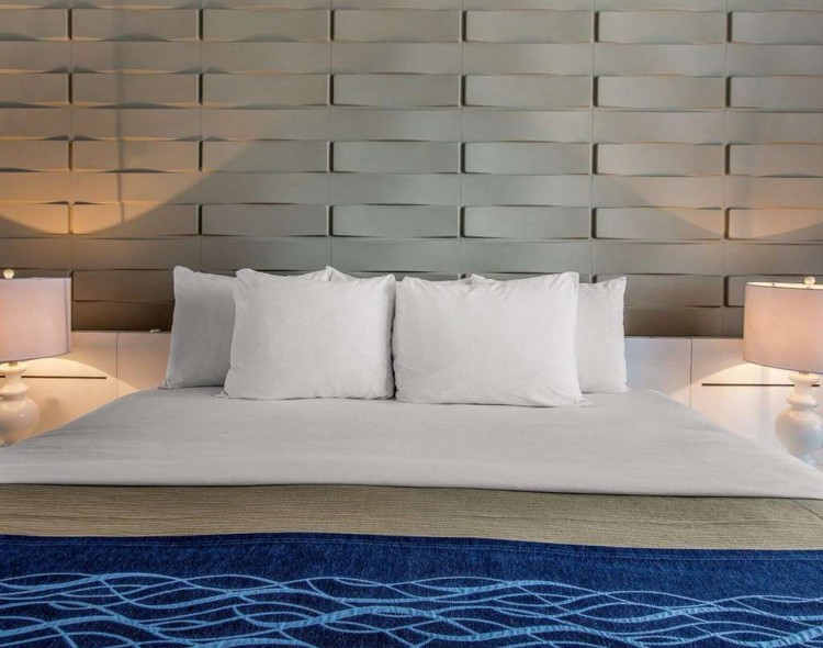 Spacious suite