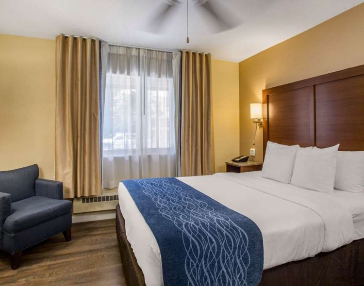 Guest room with one bed