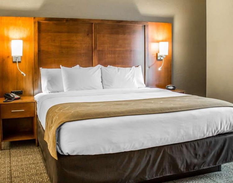 Suite with king bed