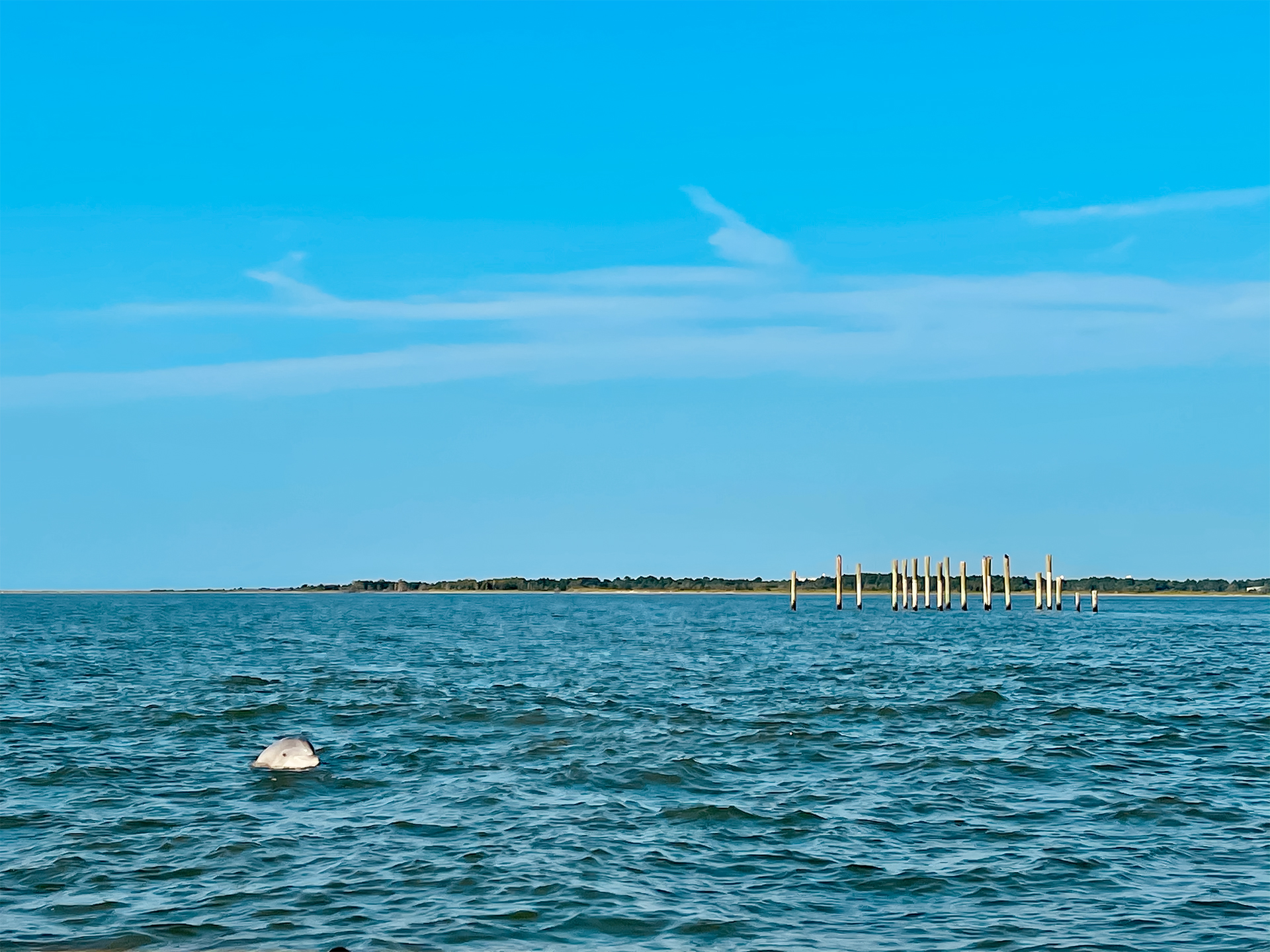view of a sea with a clear sky