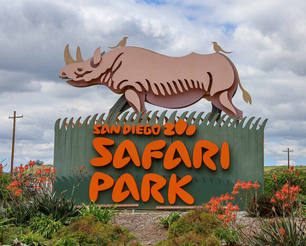 Wildlife San Diego Zoo