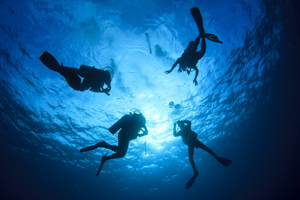 scuba diving in san diego ca