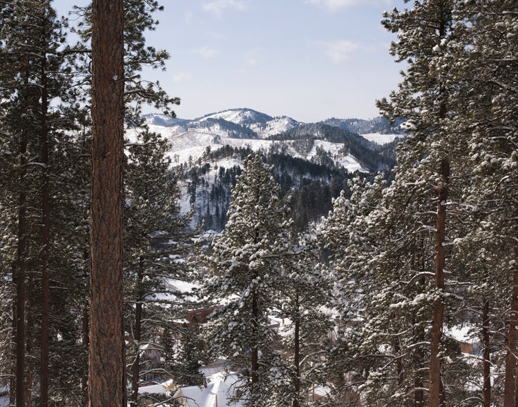 mountains in winter with snow and trees