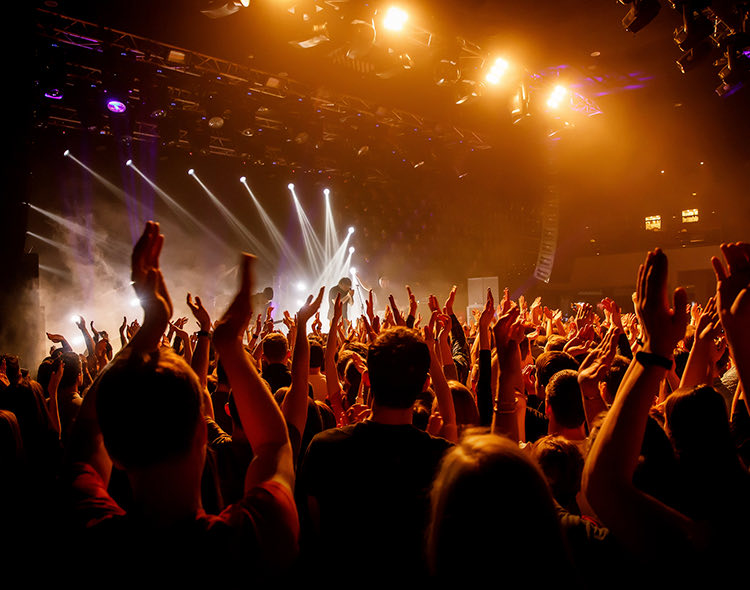 live audience at concert