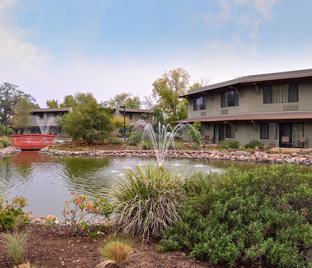 lake at the hotel