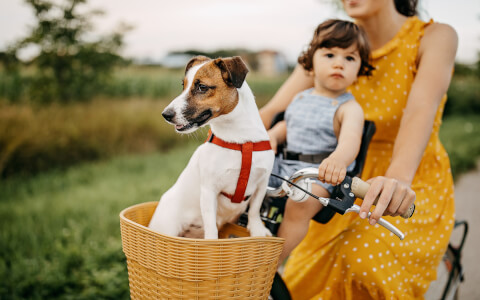 view of a woman in a bike with a children and a dog in the bike basket 