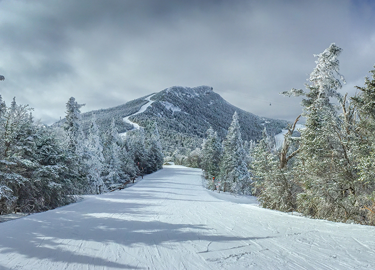 a path to a mountain surrounded by pine trees with snow