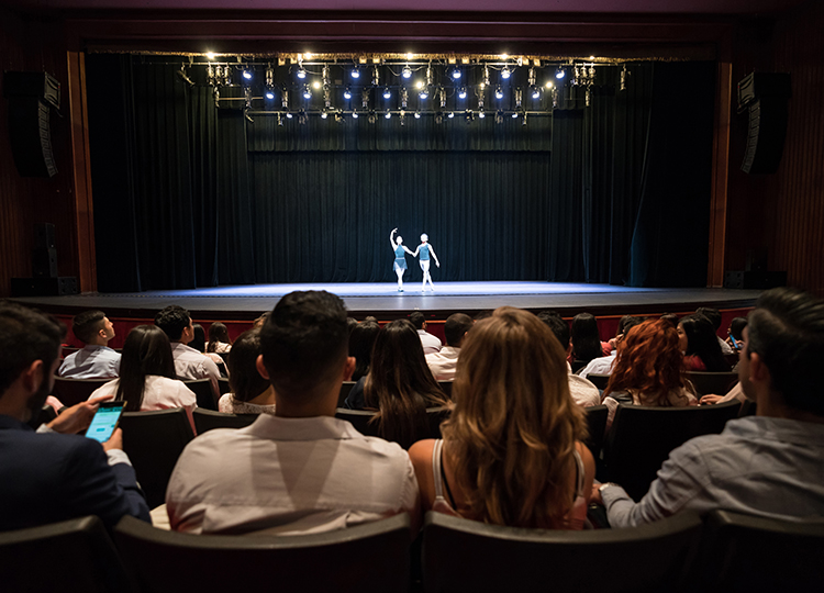 people enjoying a show in a theater