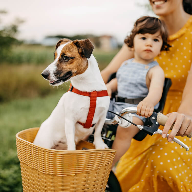 a woman wearing a yellow dress and riding a bike with a little girl and a dog