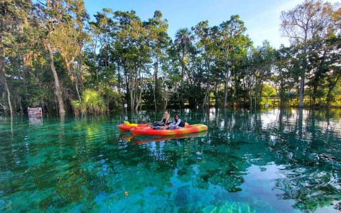view of two women doing kayak in a lake in the nature
