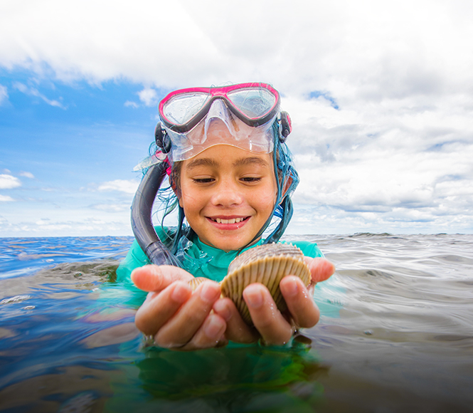 scalloping package children with shells in her hands in ocean