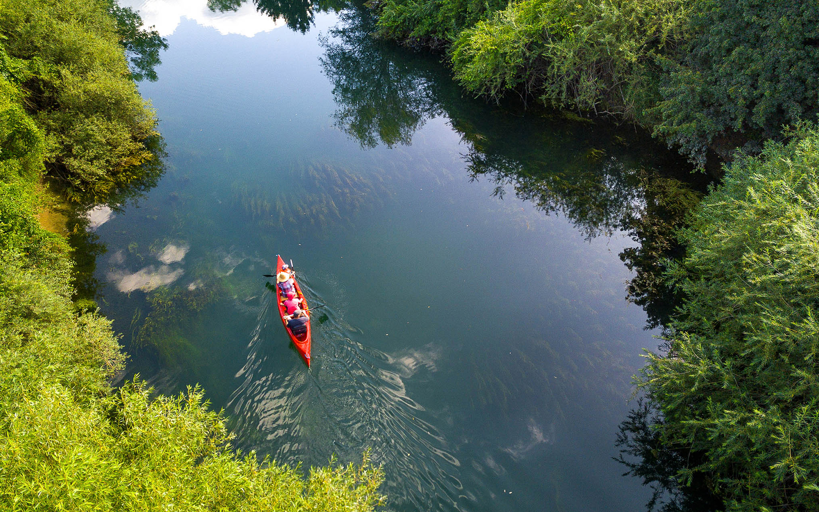 aerial view of people kayaking in the nature
