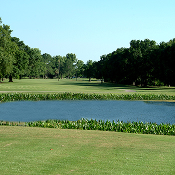 eleven hole course of property