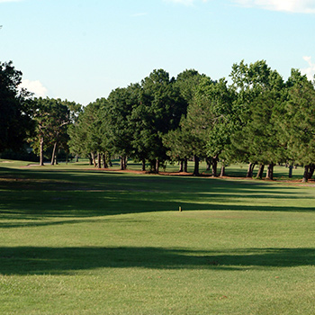 fourteen hole of plantation golf property