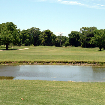 view of a natural park, lake and bush