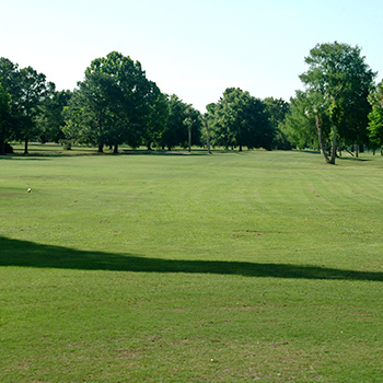view of a park and a line shadow 