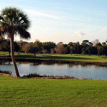 eight hole of the plantation golf course