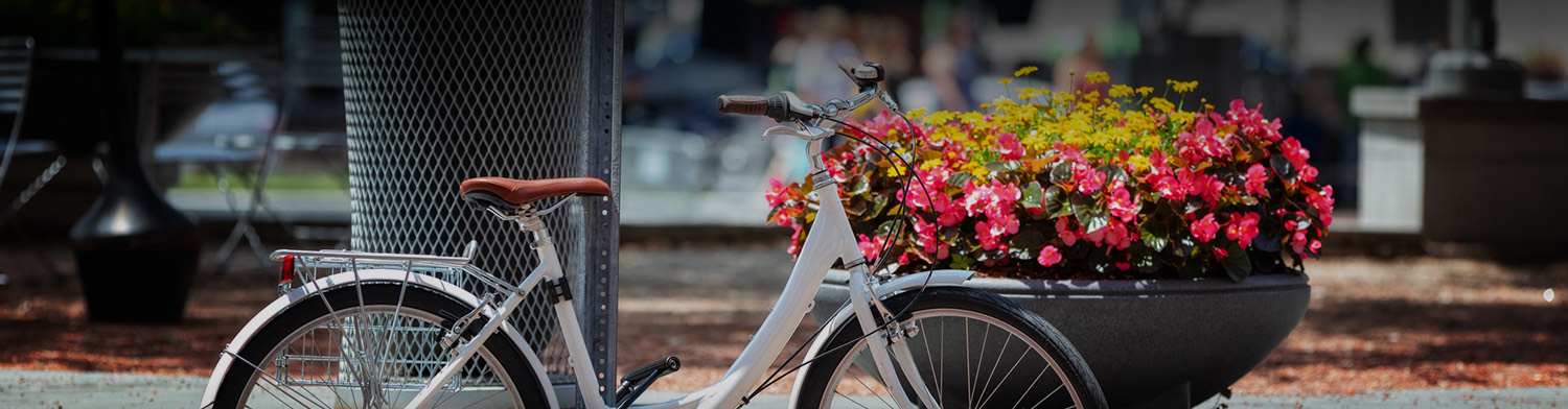 bicycle with flowers on the basket dark overlay