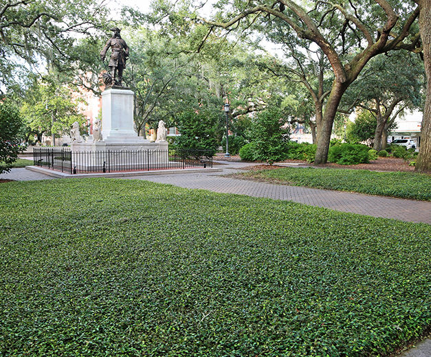 statue in a middle of a park