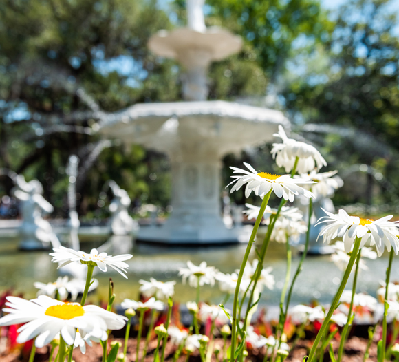 fountain near a garden of flowers